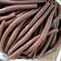 SS12-40PCS-SET-6
