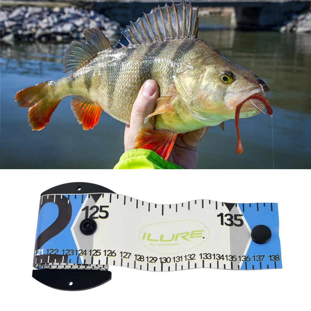 Regla de pesca Ailuya Luya – Medidor de pez resistente al agua - imagen 2