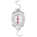 silver 50kg