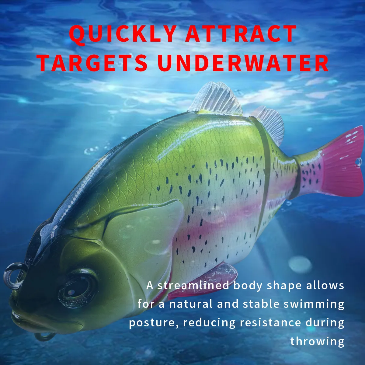 Experimente la emoción de la pesca submarina con nuestro diseño aerodinámico y natural