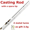 2 tips casting rod