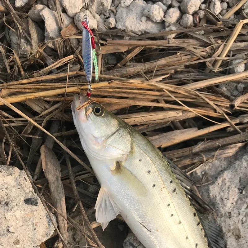 Señuelo de pesca Artificial de lubina, 1 Plantilla de piezas, cuchara de fundición, arrastre de 60g 88mm, aparejo de pesca, cebo de mar, pesca en el océano - imagen 4