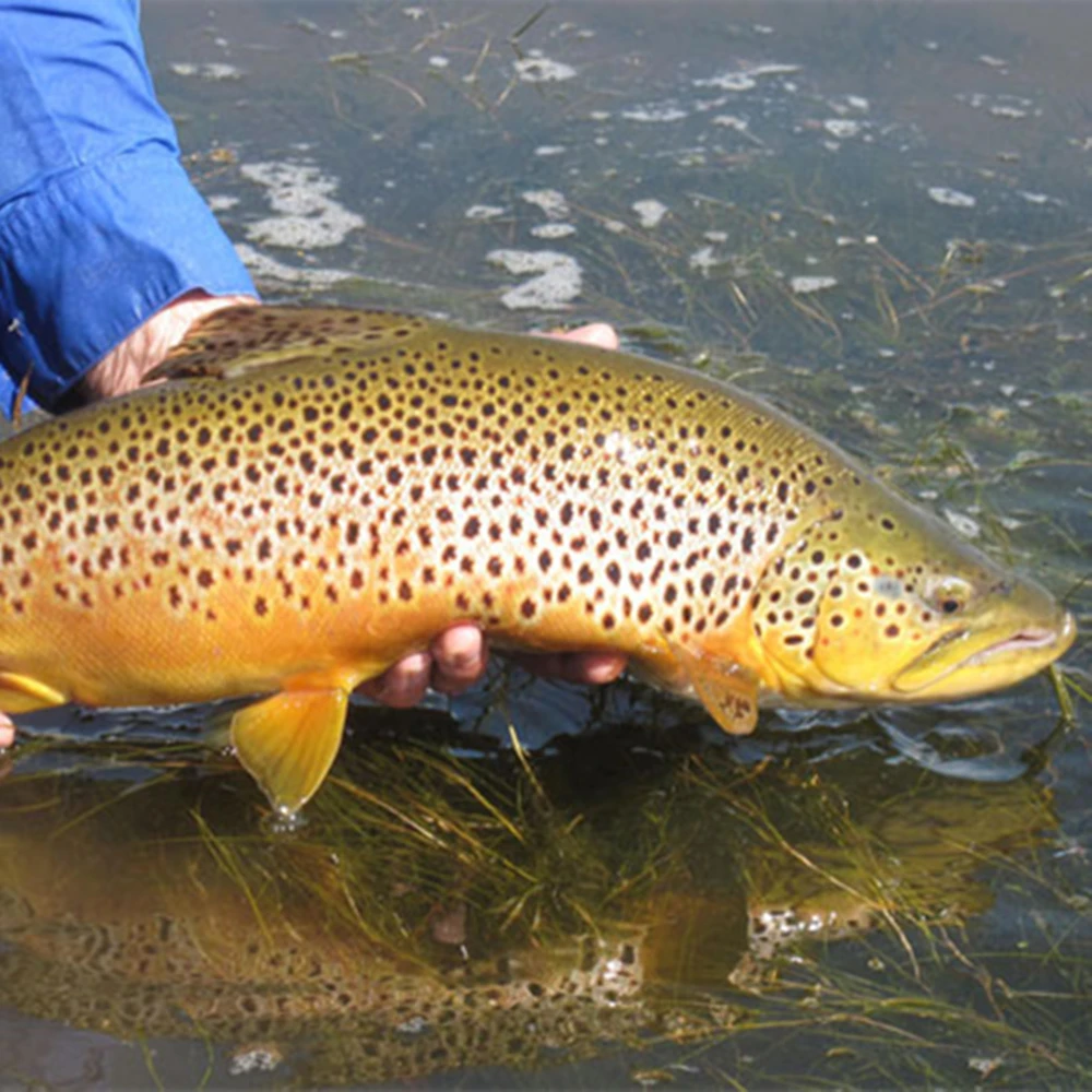 Elite TG-Cuentas ranuradas para pesca con mosca, gris moteado, 2,5 ~ 3,8mm, plantilla de pesca con mosca, ninfas, moscas, atado de tungsteno, señuelo para trucha y lubina - imagen 5