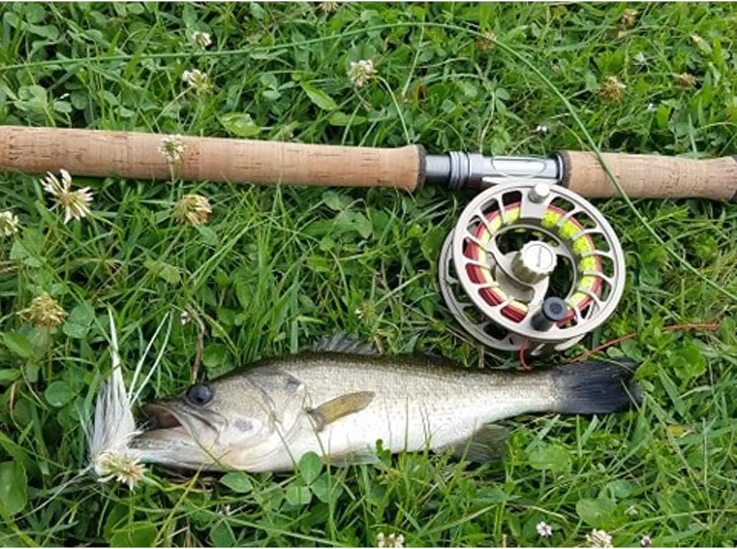 Aventik-sedal de pesca con mosca, gran juego, flotador sólido, depredador, cabeza agresiva de 33 pies, cono frontal corto, línea de pescado cónica trasera larga - imagen 5