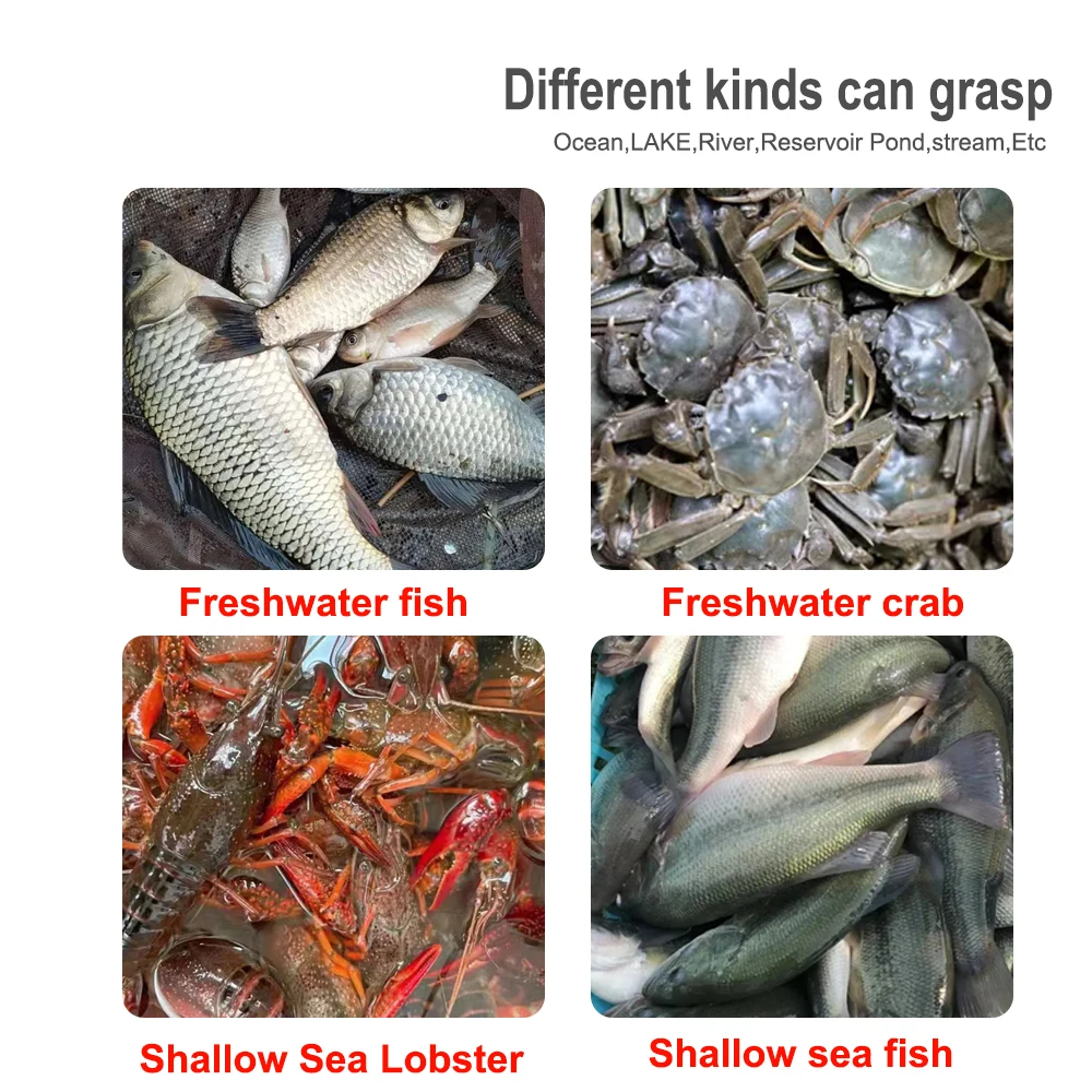 Red de malla de nailon portátil para almacenamiento de peces, accesorios de pesca, anillo de acero, jaula plegable para peces, trampa de pesca, aparejos de cesta para peces - imagen 2