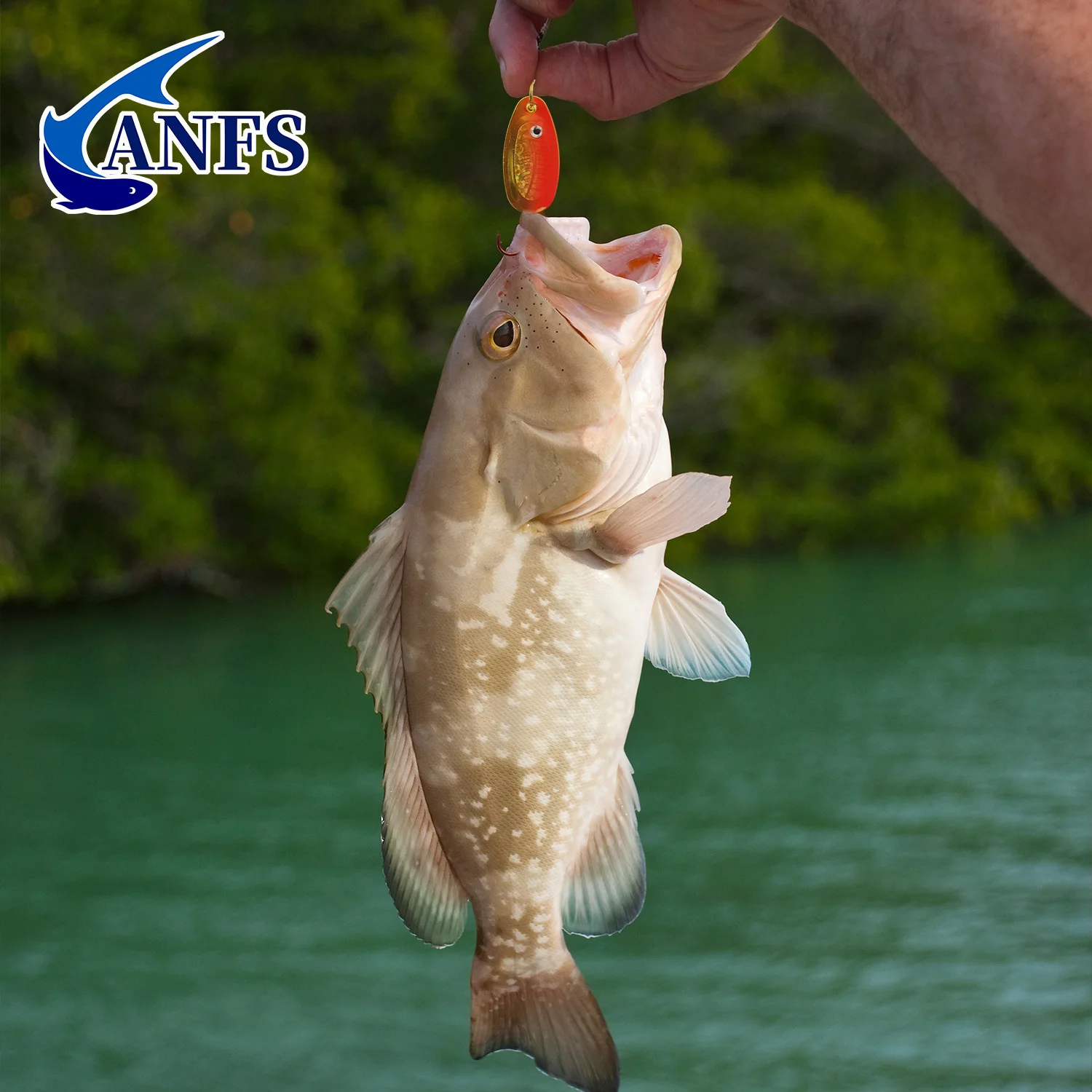 ANFS Cucharas giratorias de cobre para pesca — estuche incluido - imagen 3