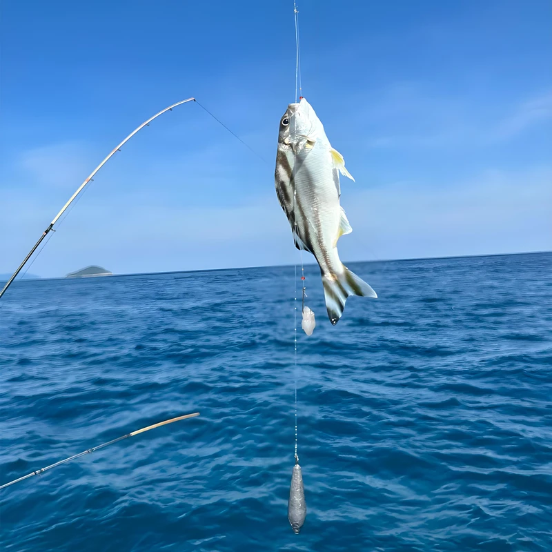 ZYZ 1 pieza aparejo de pesca en el mar Pre Tie Flapper Rigs anzuelo de pesca en el mar tamaño 2 #   1/0 #   15-20LB para pesca en tierra de fundición a la playa - imagen 5