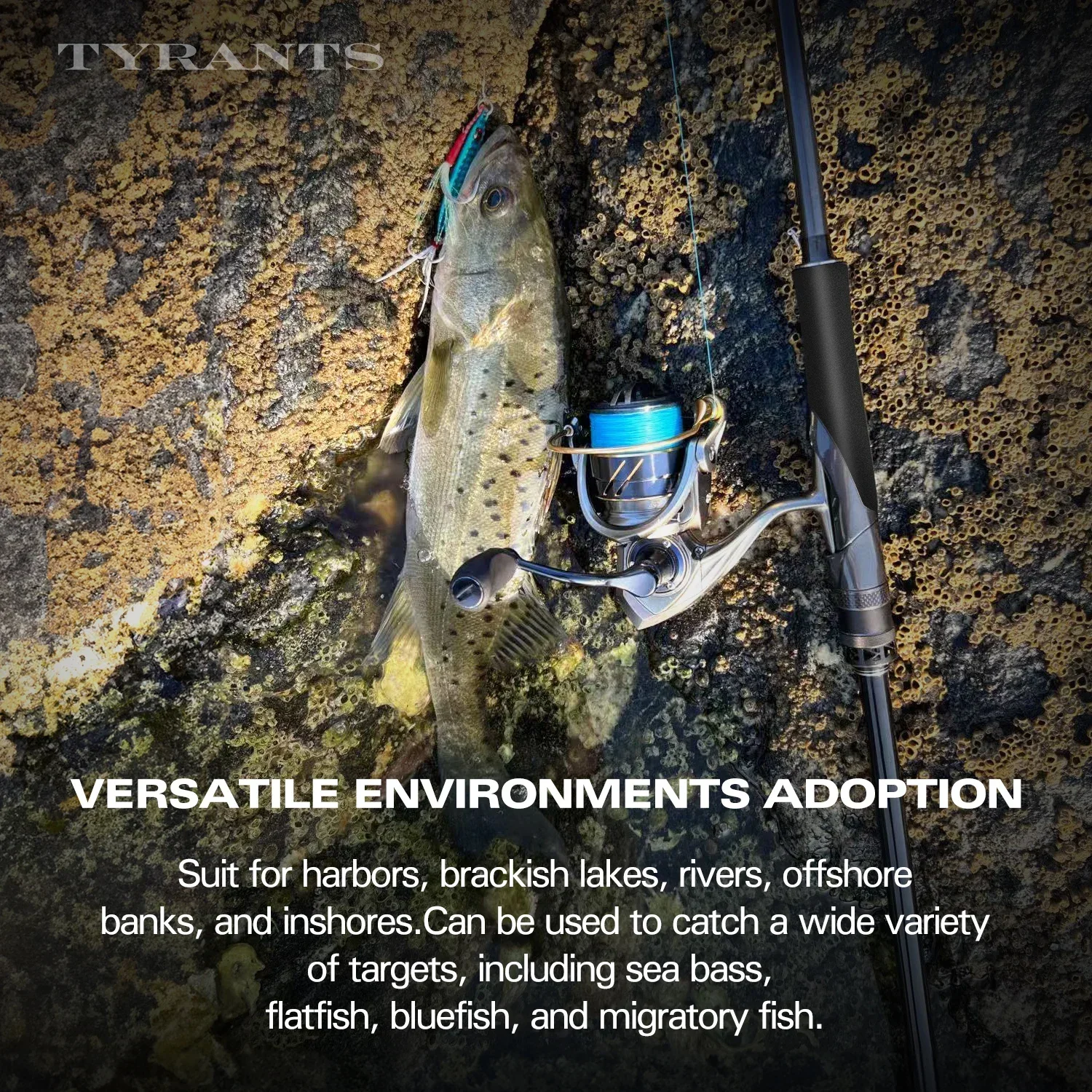 TSURINOYA 2,4 m 2,7 m 2,9 m caña de pescar costera de fundición larga TYRANTS FUJI M Power RF alta resistencia agua salada lubina Picua Flounder - imagen 3