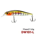 DW101-77SP-L