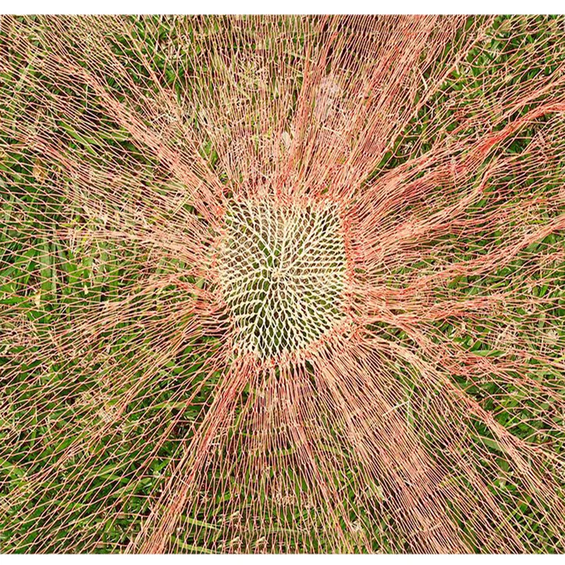 Lawaia Red de pesca multifilamento para llevar a mano Red de pescado trenzada resistente al aire libre con postes de bambú para río y estanque - imagen 3