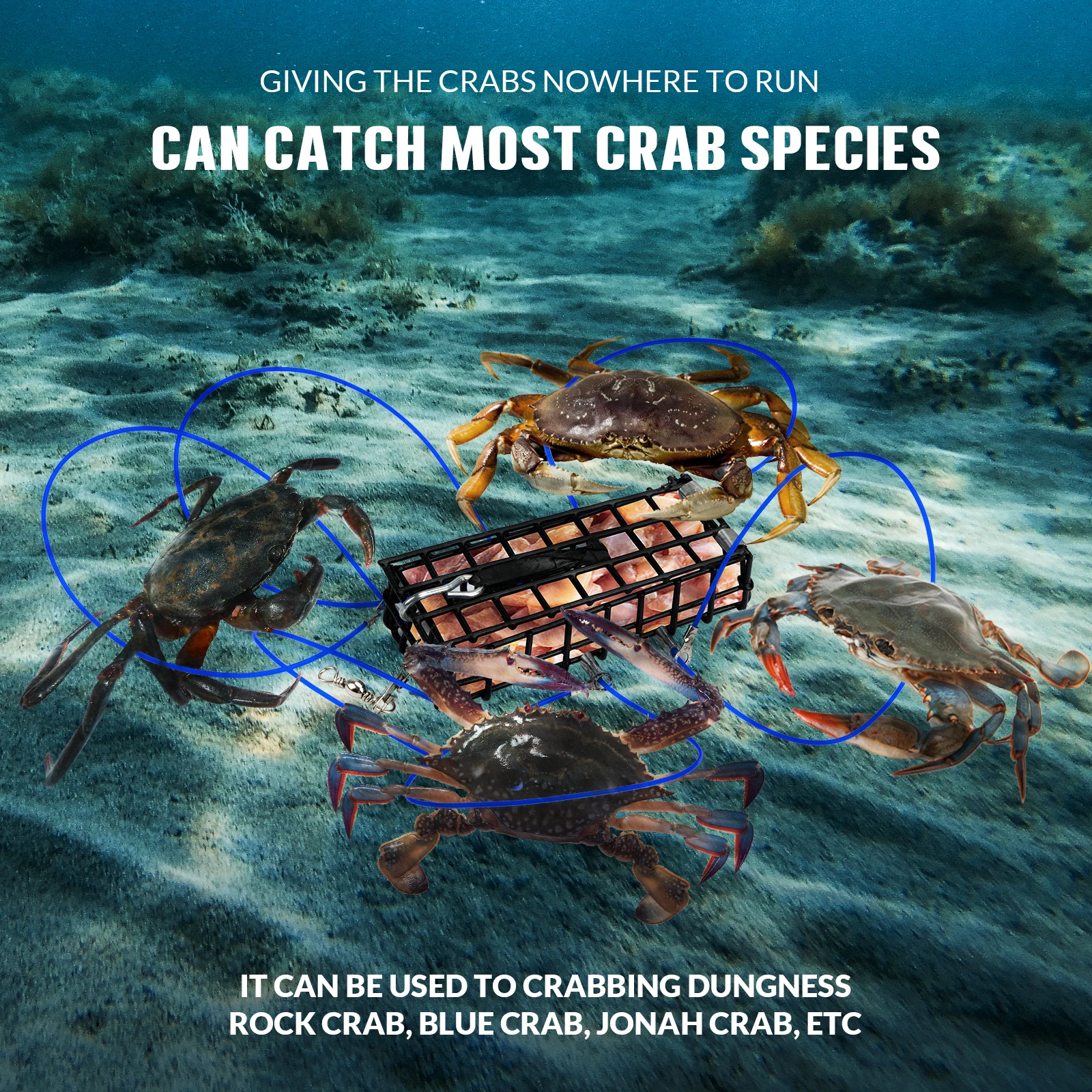 THKFISH-trampa de cangrejo de 4,29 pulgadas, trampa de cangrejo de alta resistencia, jaula de cebo, cangrejo peludo, cangrejo de mar, langosta, herramienta de trampas de cebo, 1 ud. - imagen 5