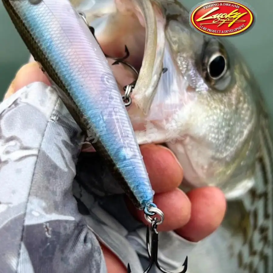 Los Estados Unidos importó Lucky Craft 105 Samei superficie hijo perro, cebo duro campeón Omori Guiyang - imagen 4