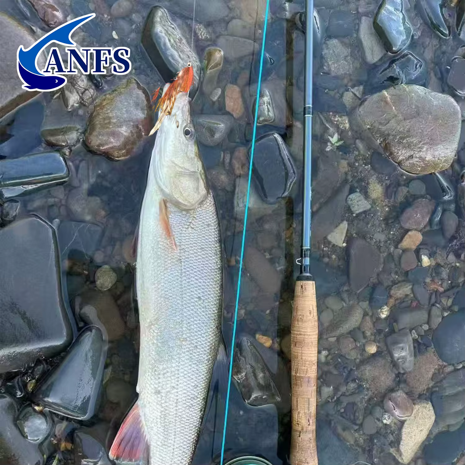 ANFS Mosca Serpentina de Sardina – Pesca Artesanal Agua Dulce y Salada - imagen 4