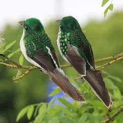 Plumas Artificiales para Mosca – Material de Montaje Premium