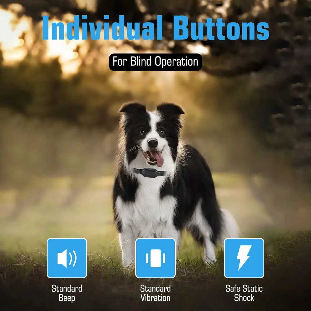 Collar de choque eléctrico recargable para perros con 3 modos de entrenamiento: vibración de choque y pitido para perros grandes, medianos y pequeños - imagen 4