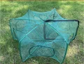 6holes cage