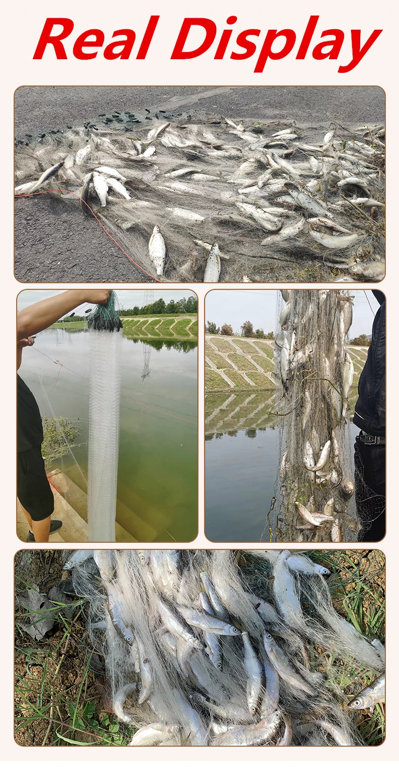 Exhibición real de una exitosa colección de red de pesca