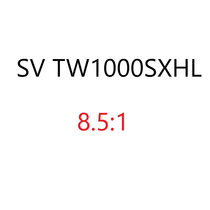 SV TW1000SXHL left