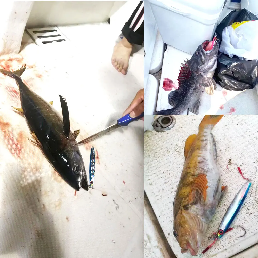 Señuelo Jigging de metal duro de caída lenta para vinilo