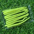 GD48 10PCS  02