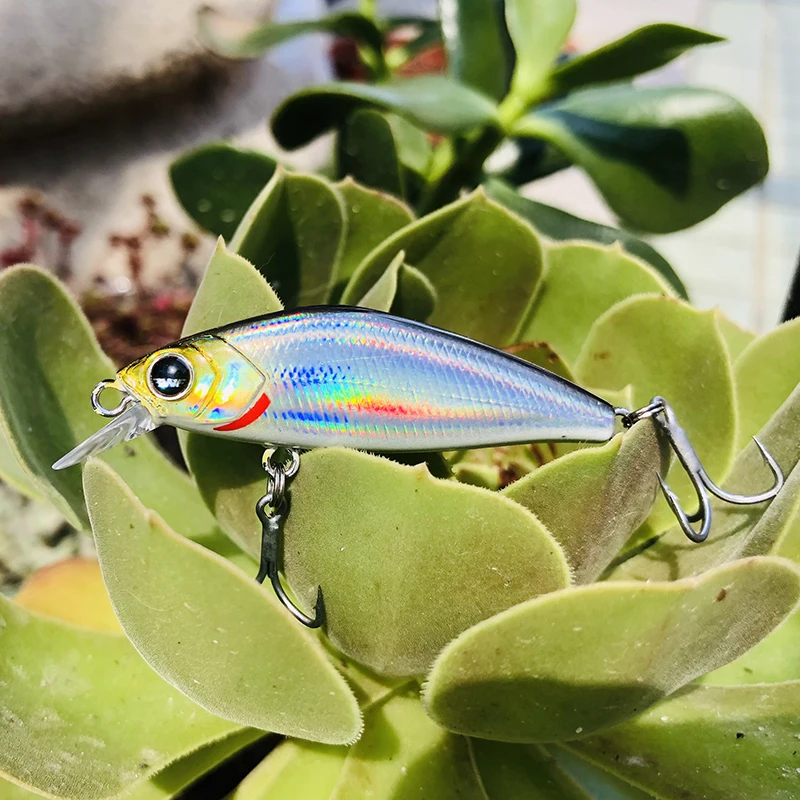 EWE Yindao Mini2 señuelo de pesca de pececillos, versión Regular, Micro materia, hundimiento, 2,6g/4g/6,3g, Wobbler Artificial para cebo falso de lubina, nuevo - imagen 5