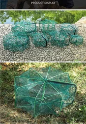 Jaula para peces molida, jaula para peces vivos, 24 agujeros, red plegable para atrapar peces/red de locha, jaula para cangrejos anticorrosión, jaula para camarones, red de pesca