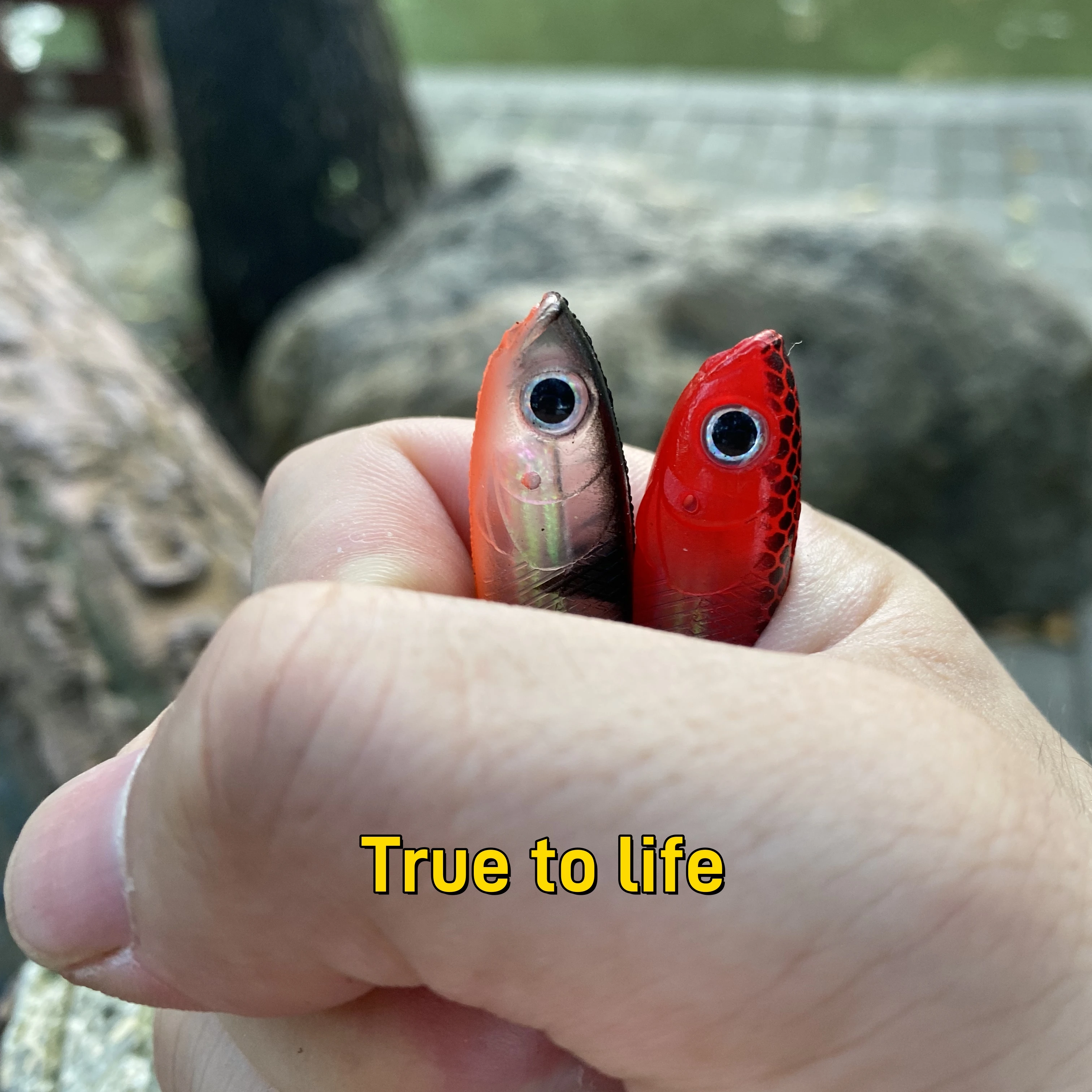 Juego de Señuelos de Pesca con cebo suave, escamas de pescado 3D, anzuelo con cabeza de anzuelo de plomo para lubina, aparejos de pesca de trucha, cola en T para pesca en agua salada - imagen 4