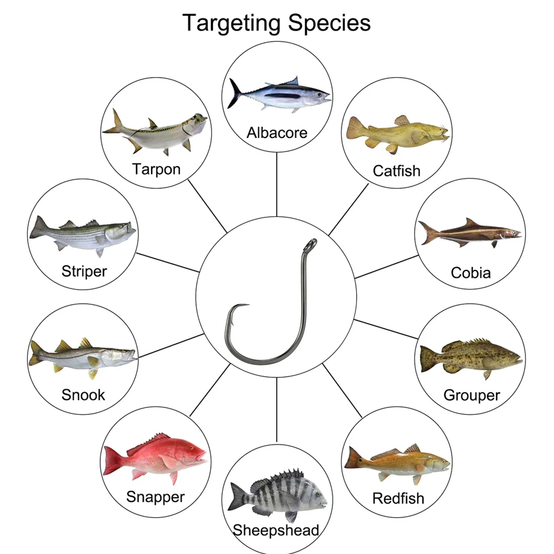 Descubra las diversas especies de peces para apuntar a sus aventuras pesqueras
