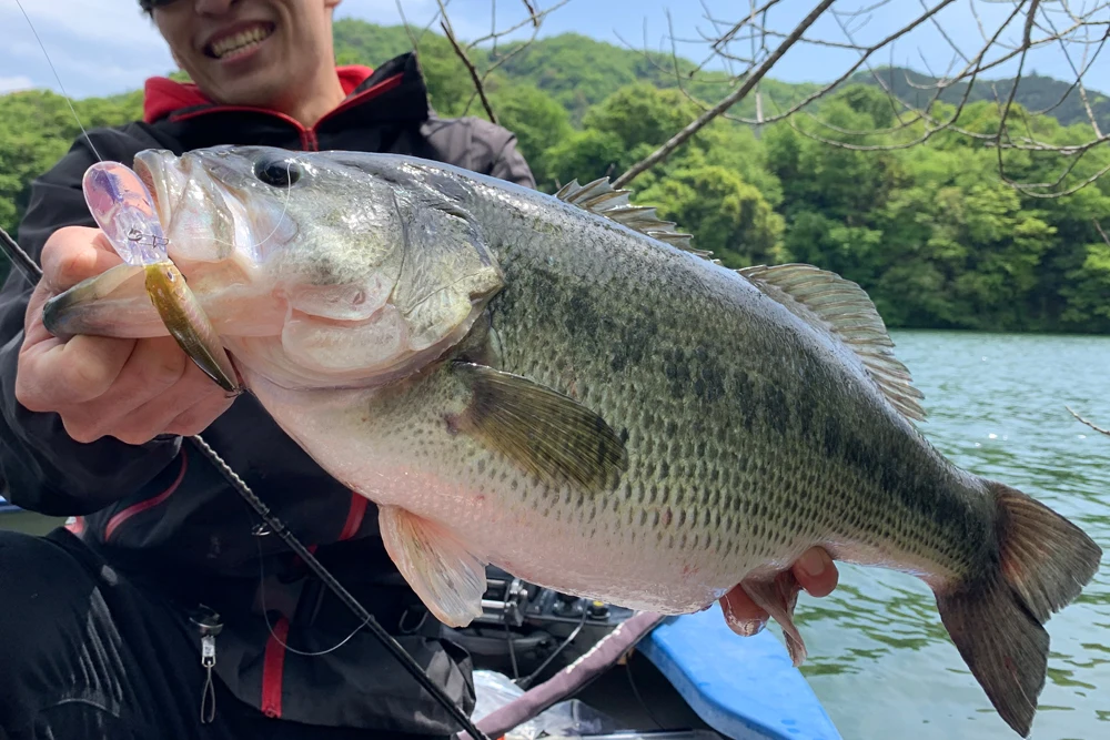 Nuevo producto OSP japonés ASURA Asura 89EX-DR versión de lengua larga Minolua flotante lento 4 metros cebo de búsqueda de alta presión - imagen 4