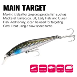TSURINOYA LANCE Señuelo Minnow hundimiento para pesca agua salada atún
