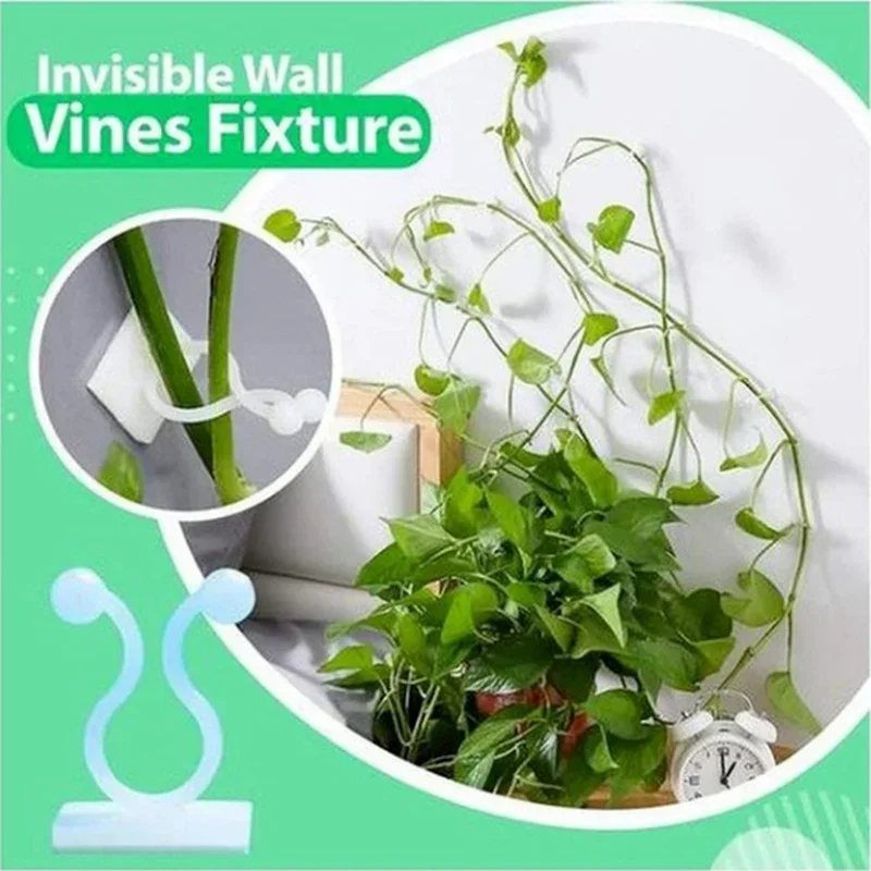 Soportes autoadhesivos para plantas trepadoras – Ganchos invisibles
