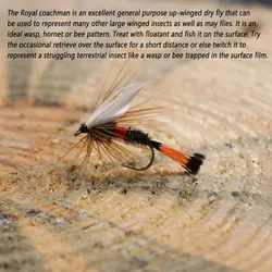 Moscas secas Bimoo Royal Coachman Wulff Drake Wing – Cebo trucha pavo real