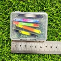 LP10 5PC 12345