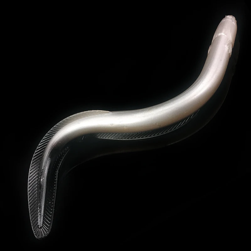 Señuelos de pesca artificiales de Anguila WEIHE, cebos blandos con olor realista, aparejos de señuelos artificiales de 30cm/58g - imagen 4