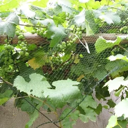 Red de ocultación para equipamiento de pesca – Protección jardín y estanque