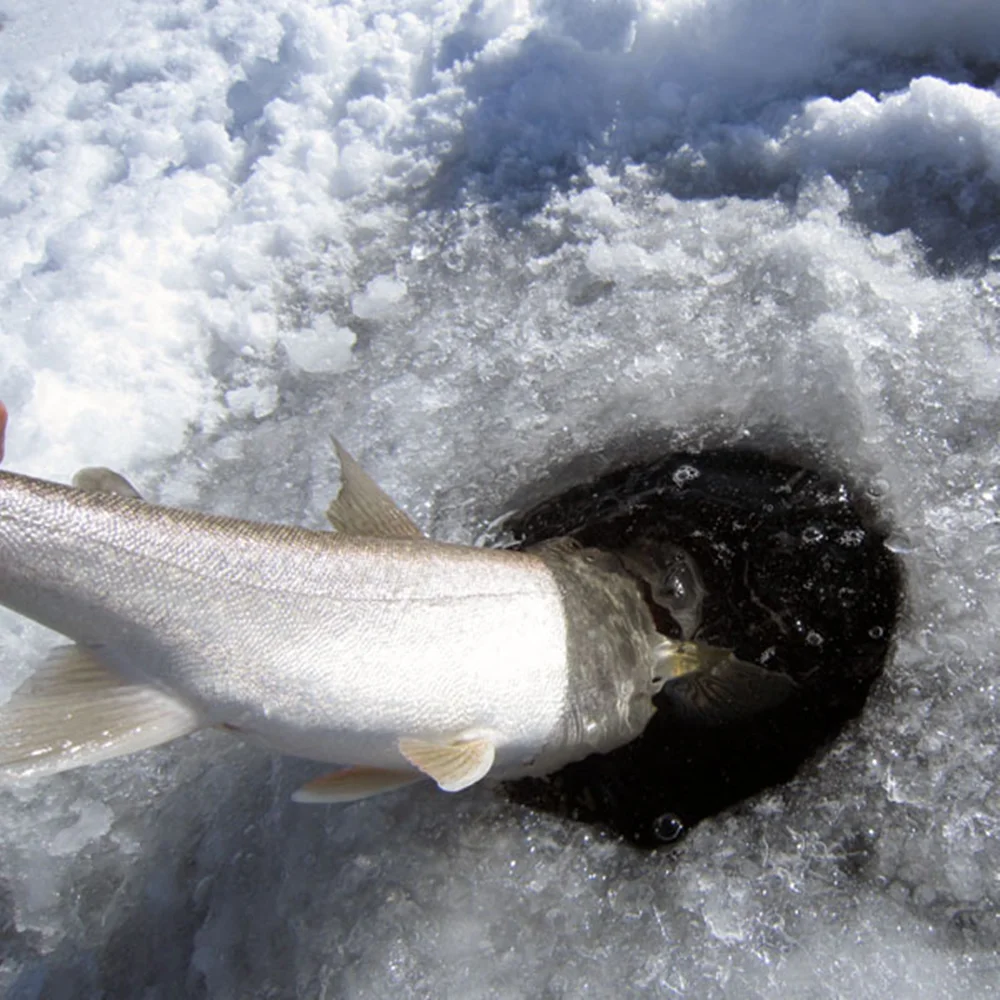 Elite TG cabezas de jig de tungsteno tipo diamante para hielo - imagen 4