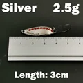 silver-2.5g