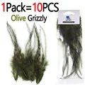 1Pack Olive Grizzly