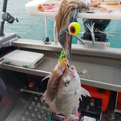 Señuelos de Jigging luminosos Inchiku, ojos 3D, cabeza de plantilla de plomo, falda de agua salada de goma Tai, 60g, 80g, 100g, 120g, 150g, 200g, cebos de pesca para barcos