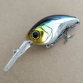 10--Chaser50 60