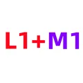 L1 M1