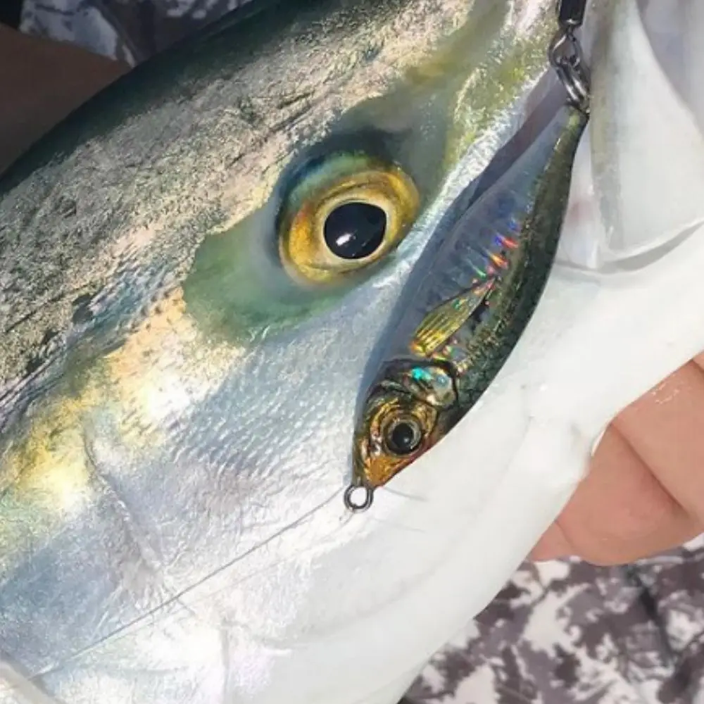 60g 80g 30g 40g plantilla de Metal Little Jack señuelo de pesca Micro señuelo de Jigging impresión 3D cebo de cuchara de fundición lenta con anzuelos de asistencia