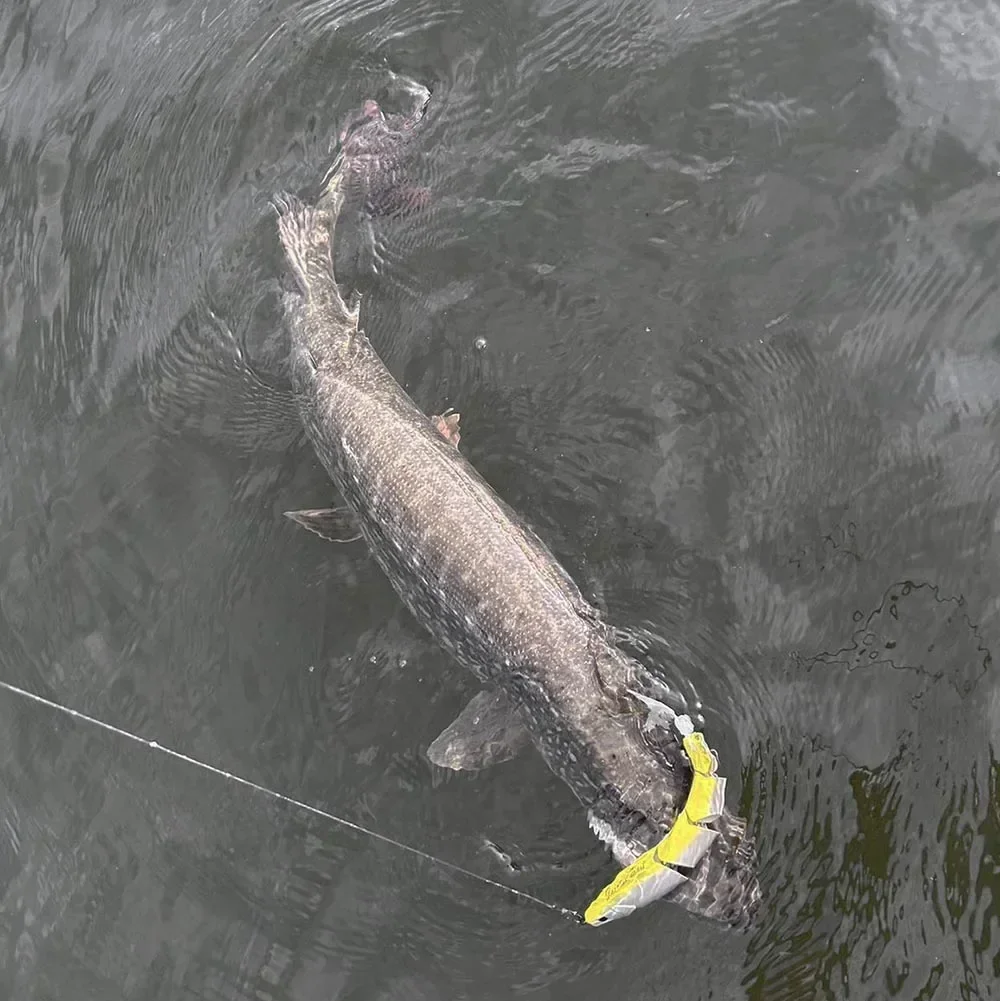 Señuelo de pesca 2024, cebo de natación articulado flotante que se hunde, 170mm, 200mm, sección de cebo duro gigante, señuelo para cebo grande, Lucio - imagen 5