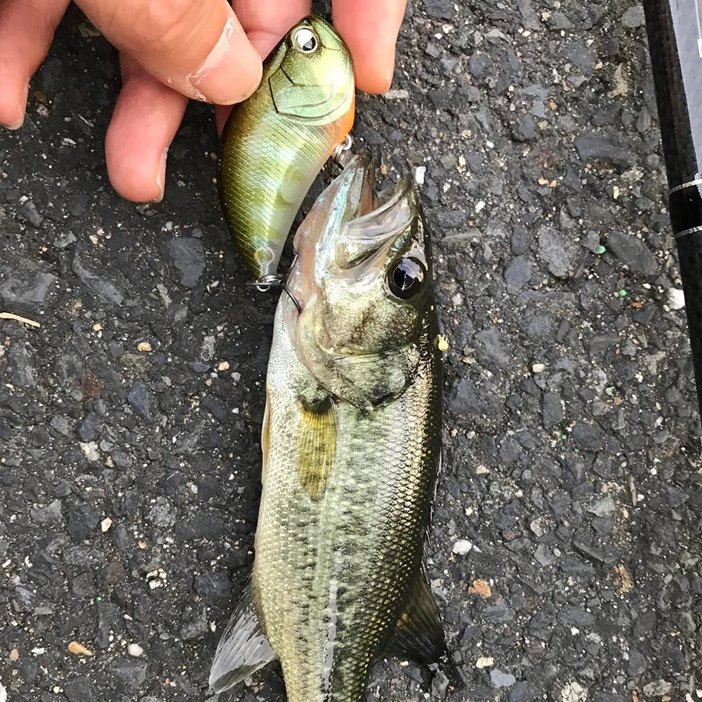 Crankbait Wobbler, señuelo de Pesca que se hunde, nivel ligero, Vib, para Lucio, cebo duro, Isca, hielo, invierno, 54mm/15g - imagen 3