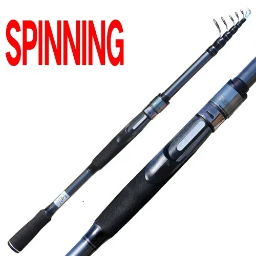 BWG Spinning Rod