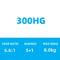 300HG