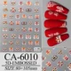 CA6010 New Year