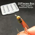 Caja de 20 Piezas