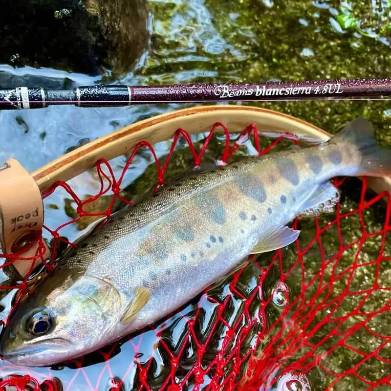 FISHMAN BEAMS/BRIST Series caña de pescar de fundición, 3 piezas, 3 '9 ''a 8' 5'' R/RF, caña portátil para fundición a tierra y barco - imagen 3