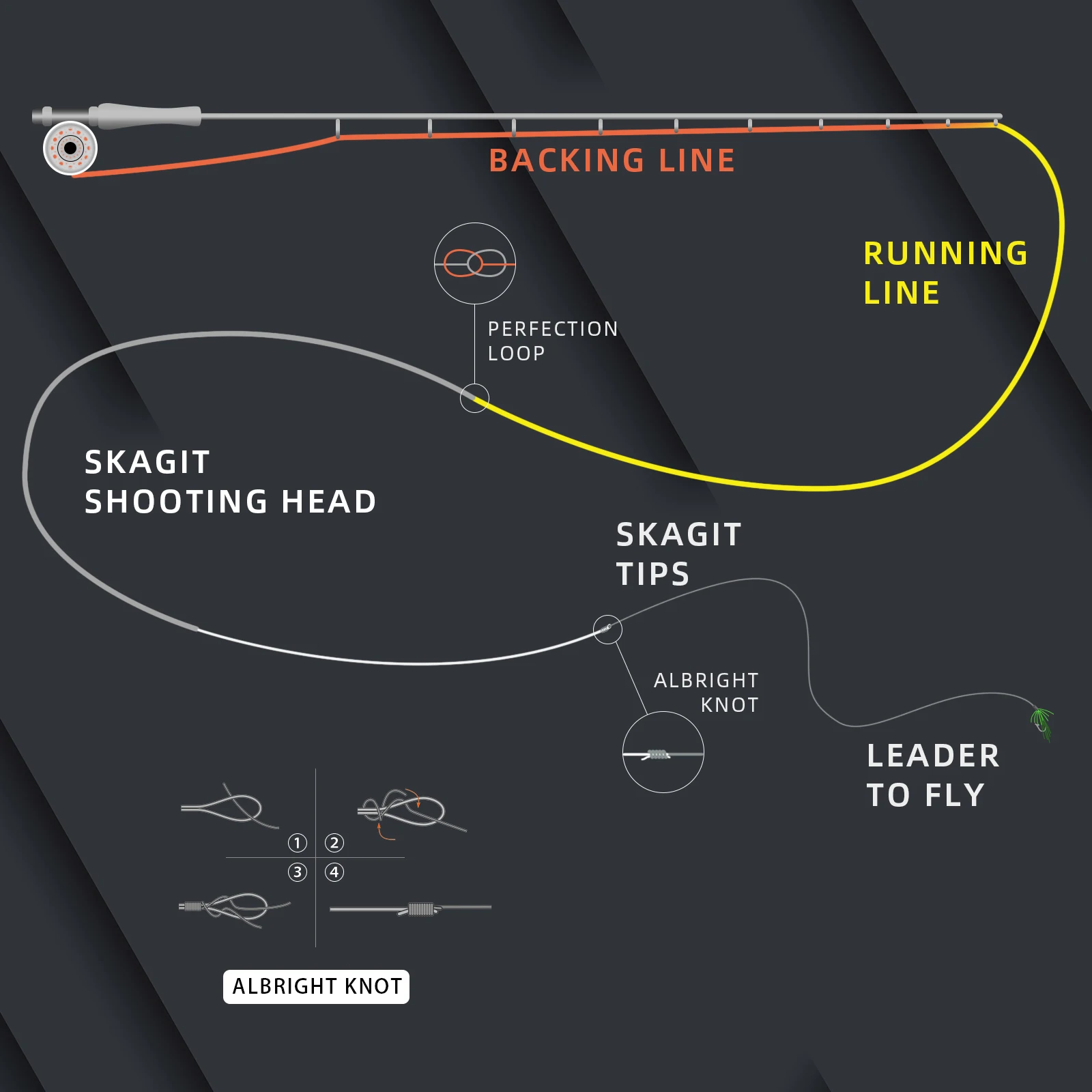 SF Skagit Tips Scandi con 2 bucles soldados Línea de pesca con mosca multicolor para Steelhead salmón - imagen 4